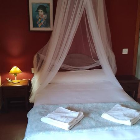 Eco Art Hotel Rural Tajo 佩拉莱霍斯德拉斯特鲁查斯 外观 照片