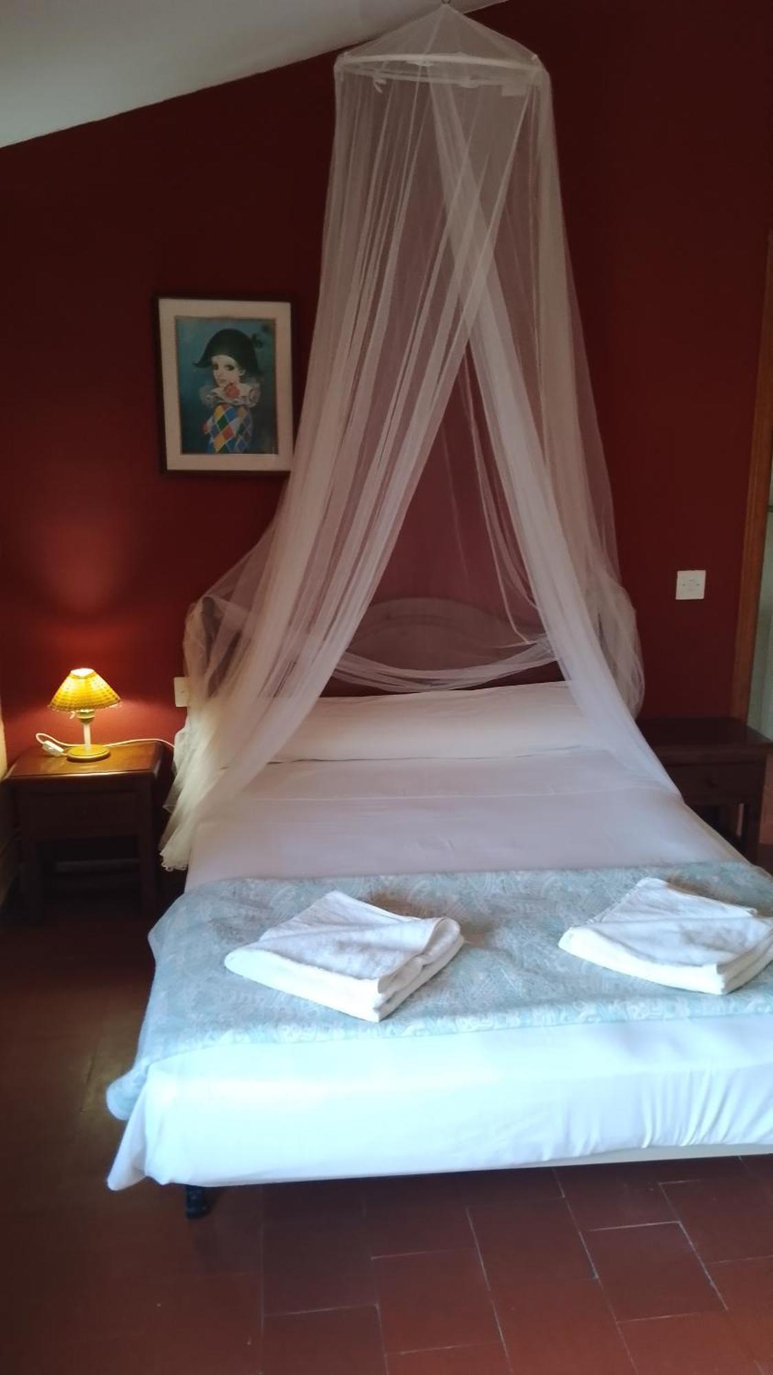 Eco Art Hotel Rural Tajo 佩拉莱霍斯德拉斯特鲁查斯 外观 照片